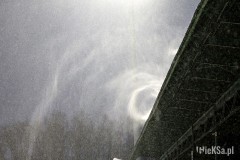 IMG_5229