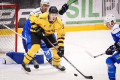 IMG_0037-1
