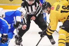 IMG_0207-1