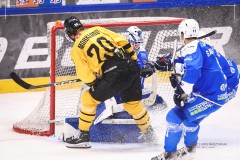 IMG_0242