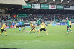 IMG_1750
