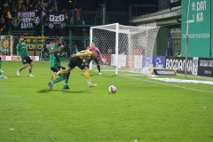 IMG_1896