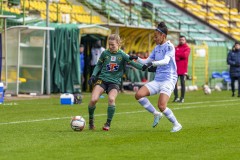 DSC7121-Poprawione-Szum