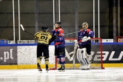 IMG_6613