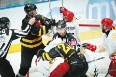 IMG_0110-1-1