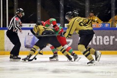 IMG_8595