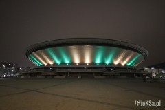 IMG_8925