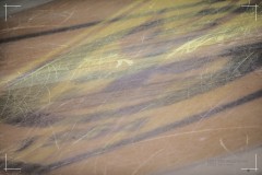 IMG_0013