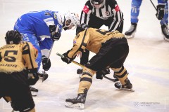 IMG_0042