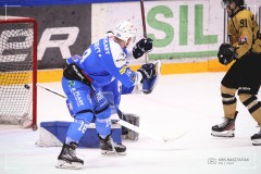 IMG_0529-1