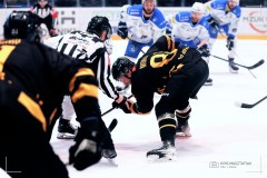IMG_0025-1