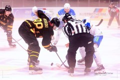 IMG_0127-1