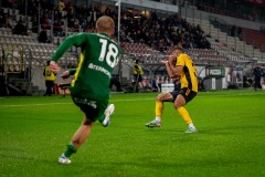 Puszcza_72