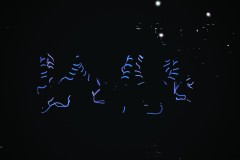 IMG_0085