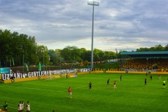 DSC08053-01