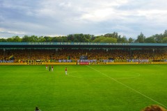 DSC08065-01