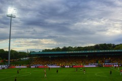 DSC08178-01