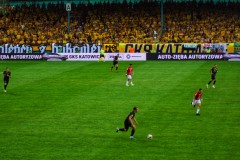 DSC08389-01