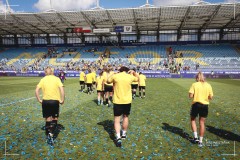 IMG_0601-2