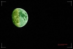 IMG_0607