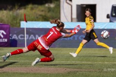 IMG_0053-2