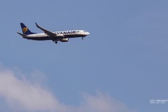 IMG_0053-6