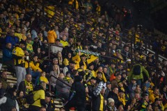 GieKSa-widzew_27