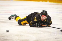 IMG_0009-1