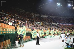 IMG_0475-6