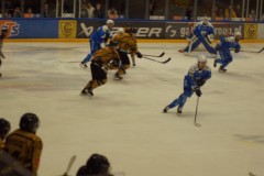 DSC06219