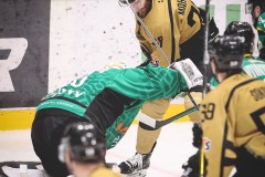 IMG_0036