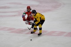 DSC_0035-3