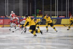 DSC_0259-1