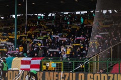 GieKSa-piast_55