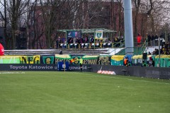 GieKSa-piast_64