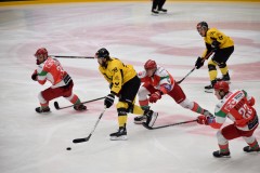 DSC_0033-1-1