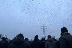 signal-2025-02-25-024221_004