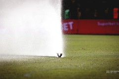 IMG_0152-7