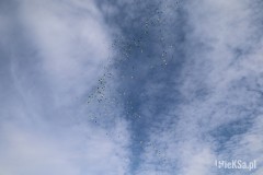IMG_0396