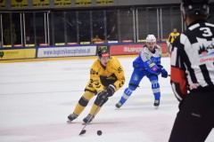 DSC_0149-1-1