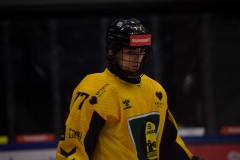 DSC_0106-1