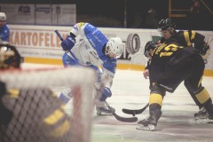 IMG_0041