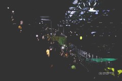 IMG_0017