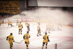 IMG_0485