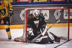 IMG_0511