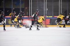 DSC_0150-1-1
