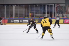 DSC_0192-1-4