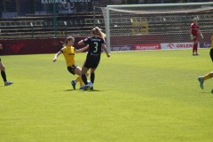 DSC09217