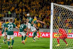 GKS_leg_33