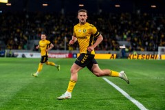 GKS_leg_34